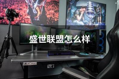盛世聯(lián)盟 打造專業(yè)互聯(lián)網(wǎng)游戲服務(wù)的領(lǐng)航者